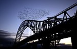 Runcorn Bridge - geograph.org.uk - 1701094